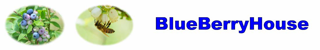 BlueBerryHouseロゴ